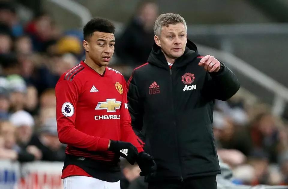 未来之星崭 未来之星崭